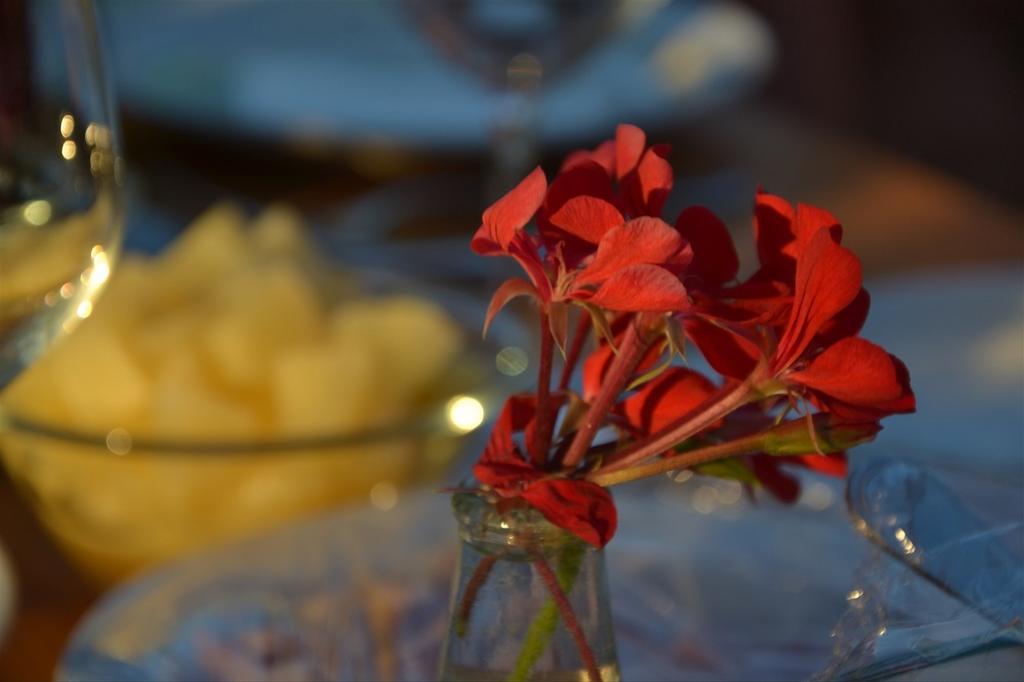 Podere Del Gesso ตาร์กวิเนีย ภายนอก รูปภาพ