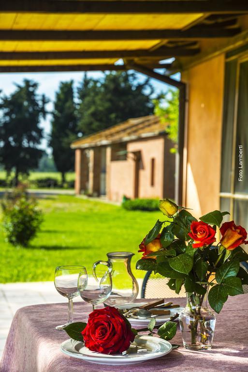 Podere Del Gesso ตาร์กวิเนีย ภายนอก รูปภาพ