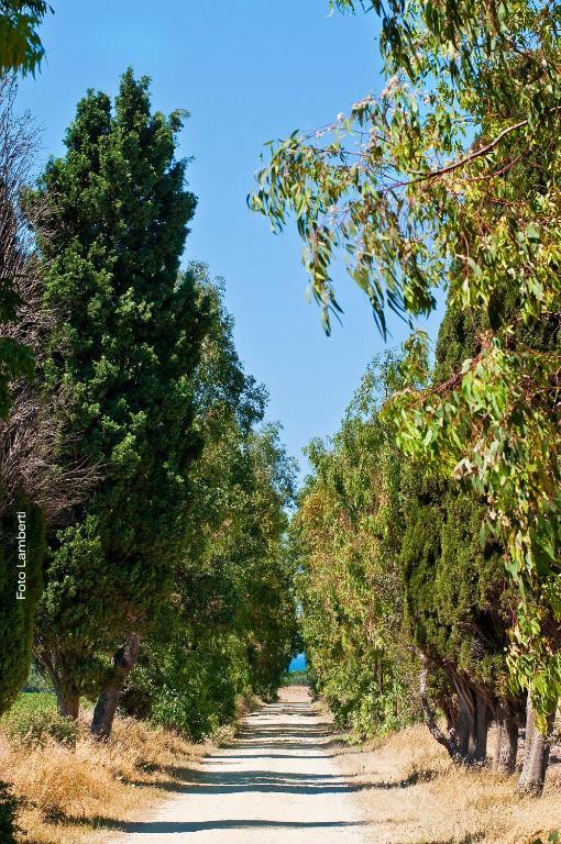 Podere Del Gesso ตาร์กวิเนีย ภายนอก รูปภาพ